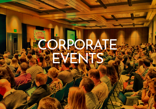 Management Consultancies